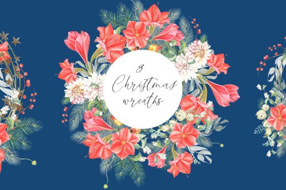 Amaryllis Christmas Wreaths: A Designer’s Review of Seasonal Illustrations