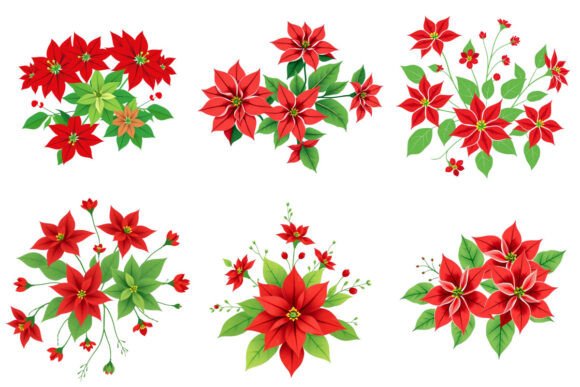 Poinsettia, Christmas Flower Clipart and Illustrations Review